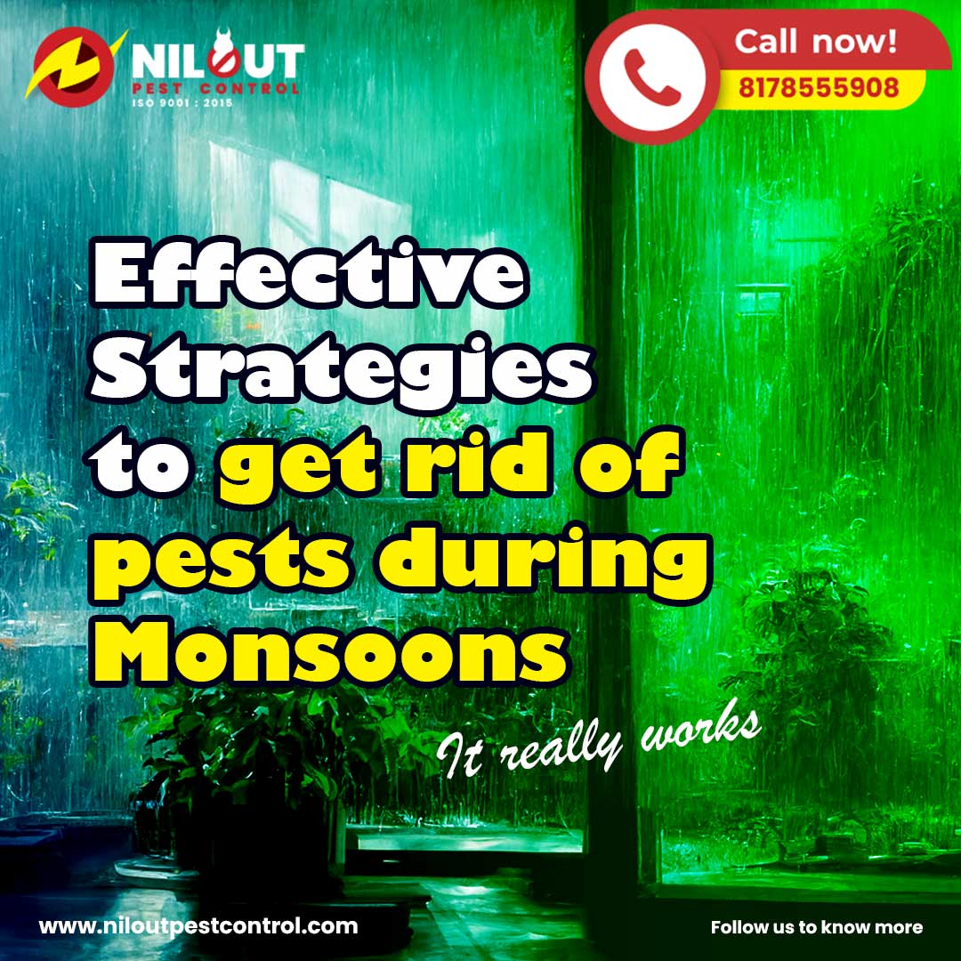Defending Your Home: Effective Strategies with Nilout Pest Control to Get Rid of Pests During Monsoons